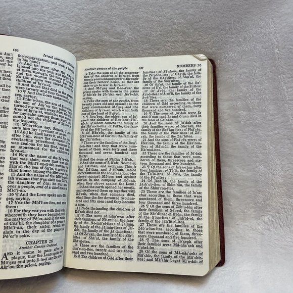 Holy Bible King James Dictionary Concordance Holman Red Letter Version Burgundy - Picture 8 of 12